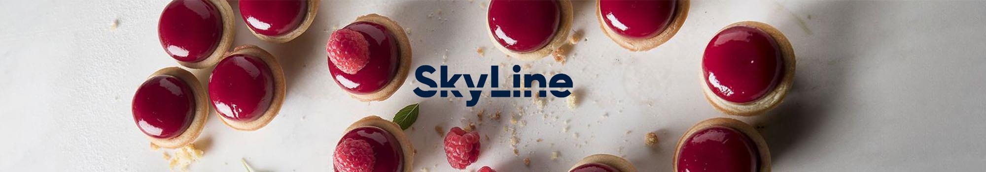 skyline-combi-oven-pastry-banner-2000x350-2